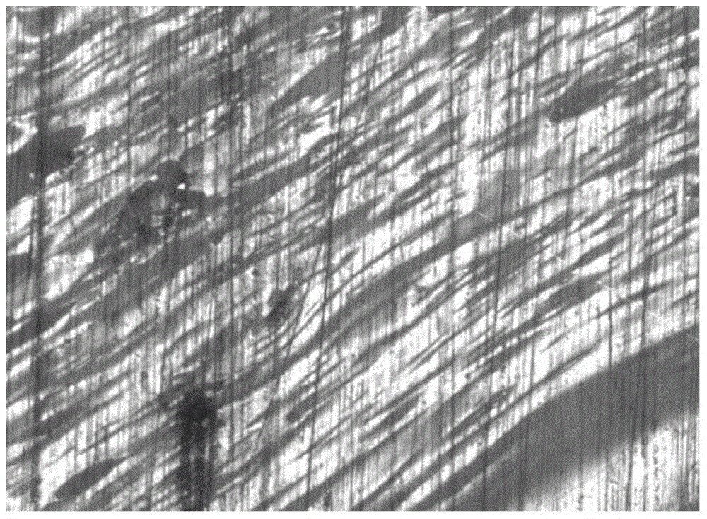 Mesophase pitch and method for preparing mesophase pitch by using coal liquefaction refined pitch