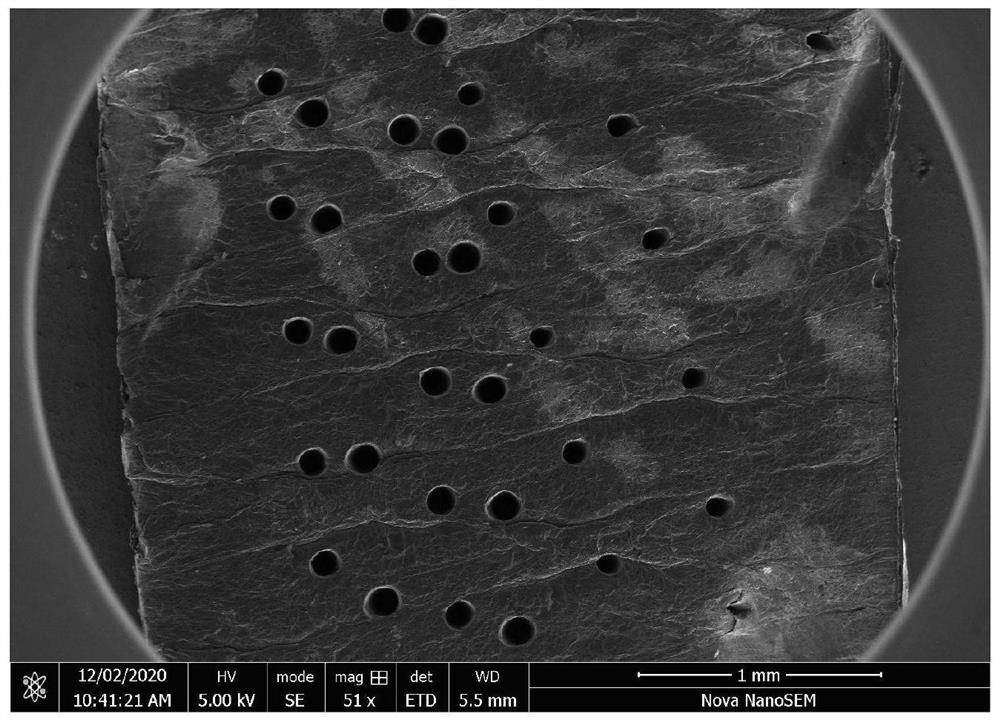 Graphene composite foam film and preparation method thereof