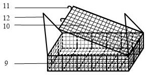 Method and device for ecologically breeding rapana venosa seedlings in pond