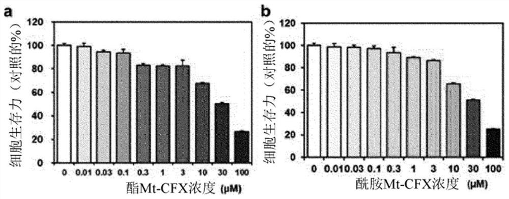 Repurposed antibiotics for non-nuclear genotoxic chemotherapy and pharmaceutical composition for Anti-cancer containing the same