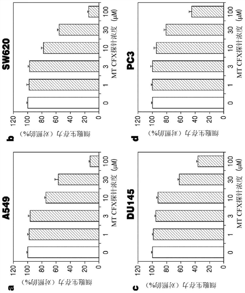 Repurposed antibiotics for non-nuclear genotoxic chemotherapy and pharmaceutical composition for Anti-cancer containing the same