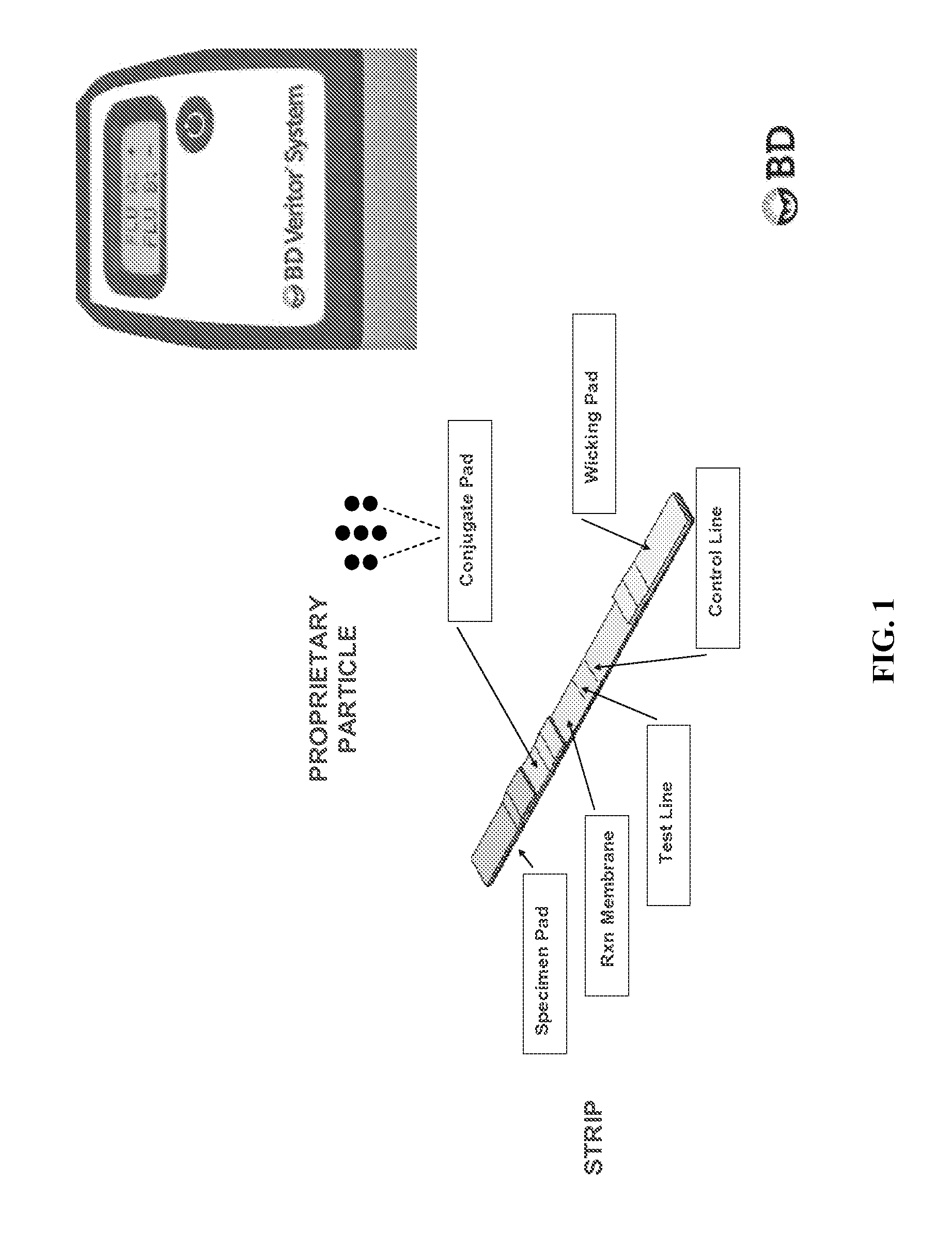 Methods and kits for the diagnosis of influenza