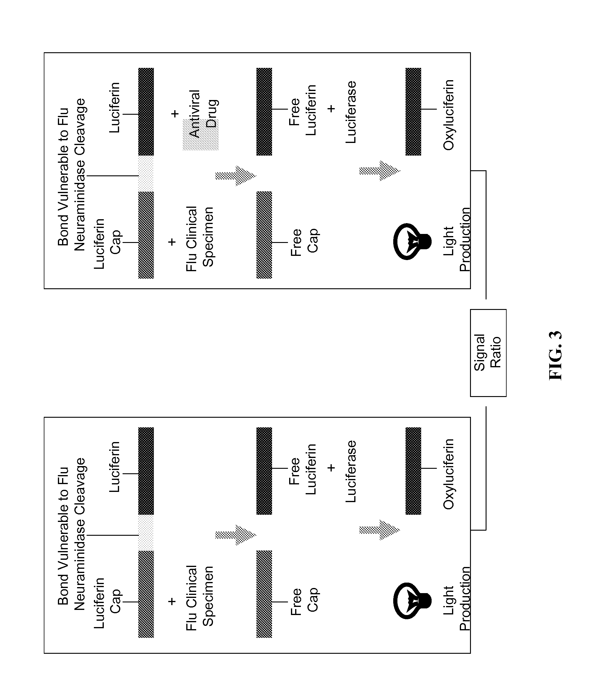 Methods and kits for the diagnosis of influenza