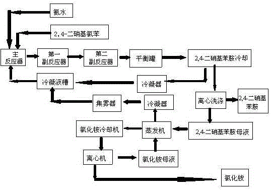 A kind of continuous ammoniation production process of 2,4-dinitroaniline