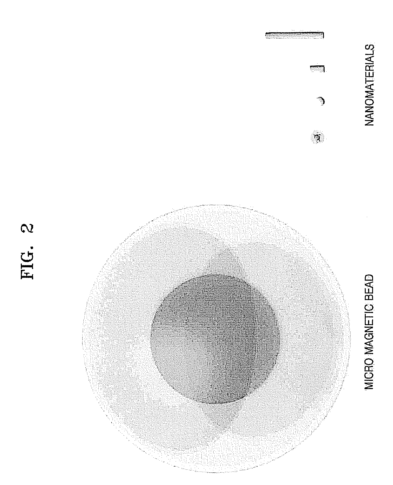 Method and apparatus for disrupting cells and amplifying nucleic acids using gold nanorods