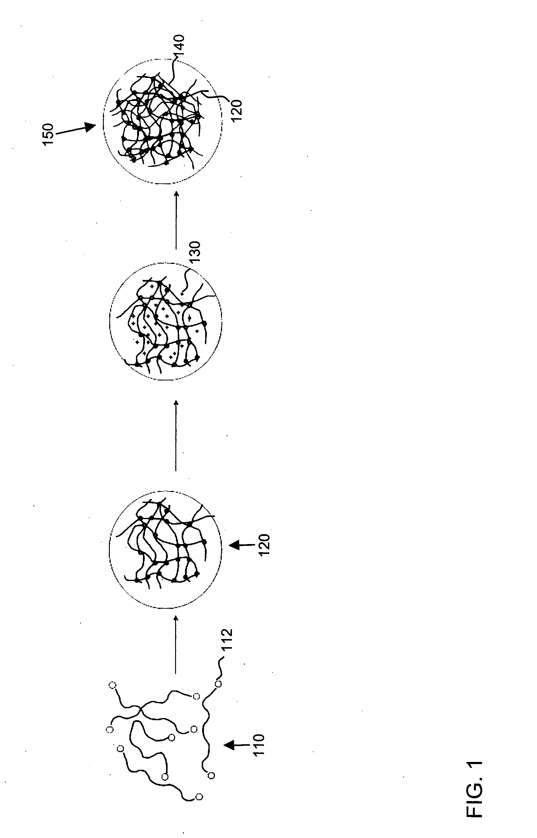 Interpenetrating polymer network hydrogel contact lenses