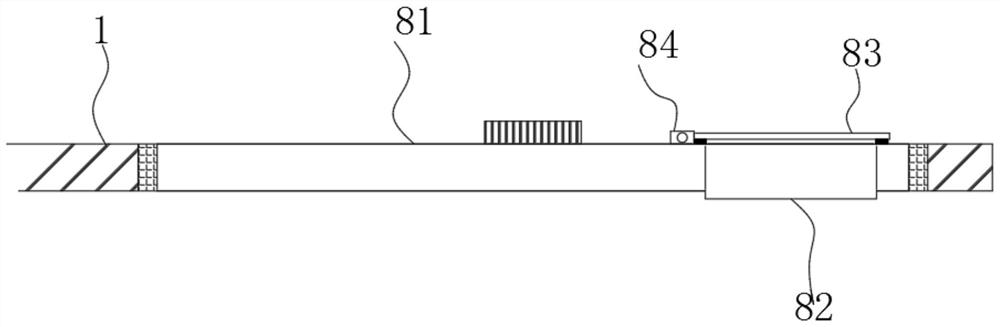 A detection reagent storage device for detecting braf gene mutation