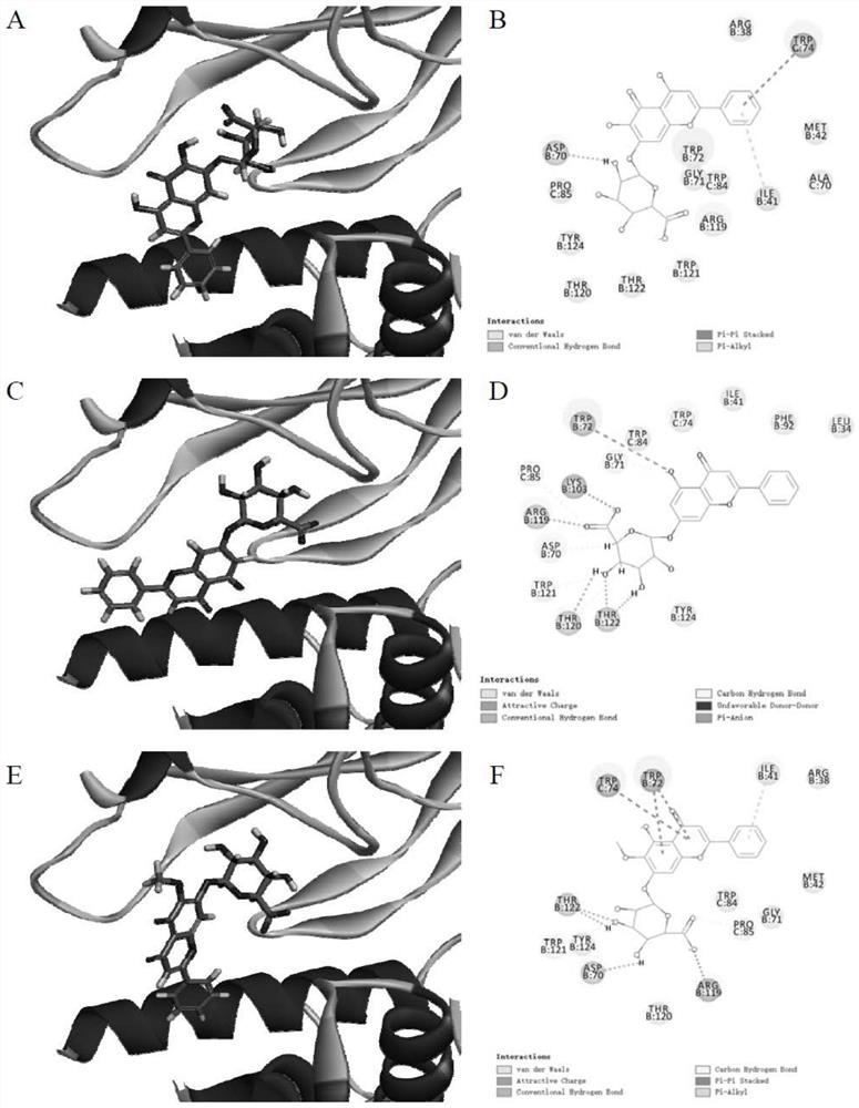 Separation and identification of anti-migraine effective components in Duijinsan and application of anti-migraine effective components in Duijinsan