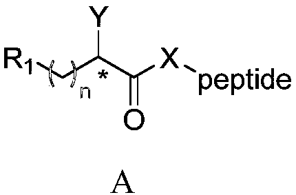 Polypeptide derivative combining DDP-4 inhibiting and GLP1R activating activities and preparation and application thereof