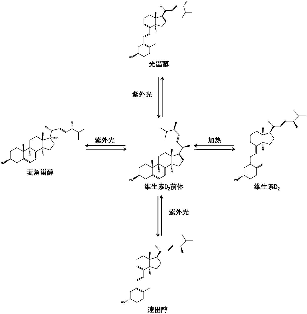 Preparation method of high purity domestic fungus vitamin D2 extract