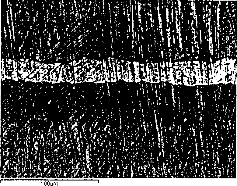 Anticorrosive magnesium-aluminium composite material and its preparing method