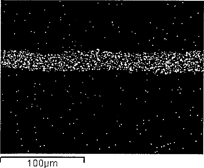 Anticorrosive magnesium-aluminium composite material and its preparing method