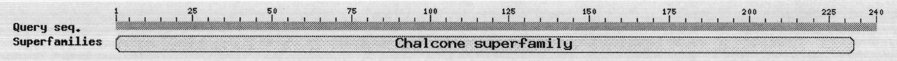 Lonicera japonica chalcone isomerase (LjCHI) gene, LjCHI gene coded protein and their application