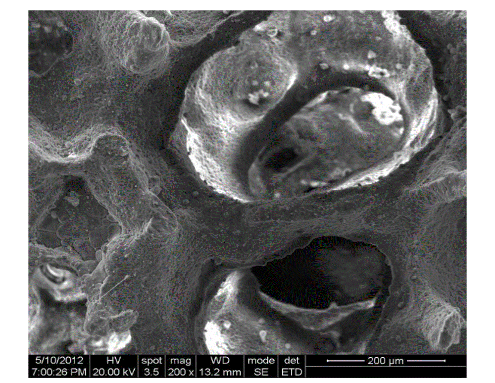 Beta-dicalcium silicate porous biological ceramic bracket and preparation method and application thereof