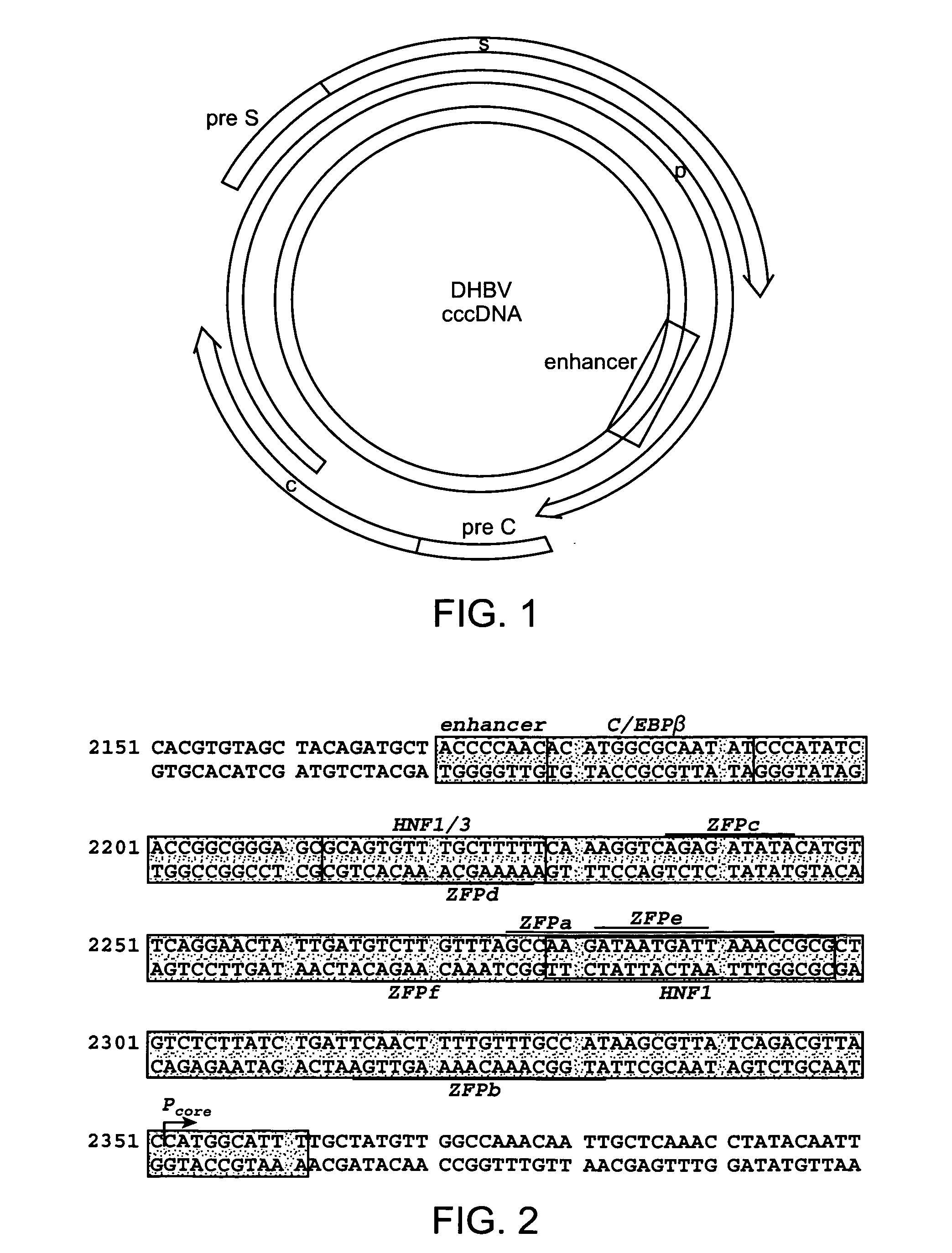 Hepatitis b virus-binding polypeptides and methods of use thereof