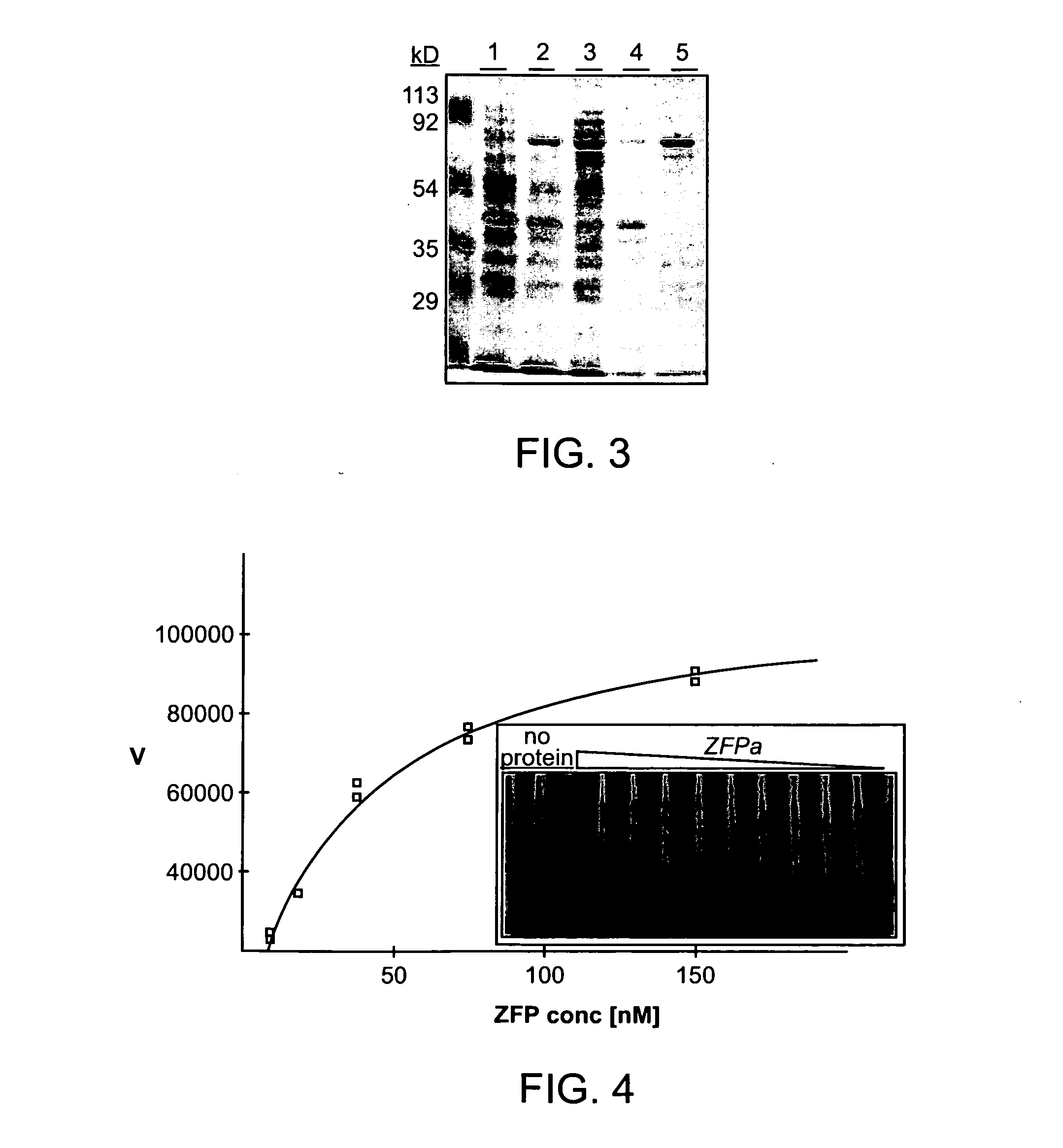 Hepatitis b virus-binding polypeptides and methods of use thereof