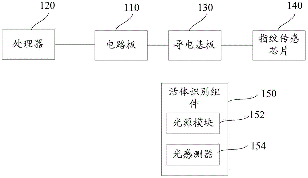 Fingerprint detection apparatus