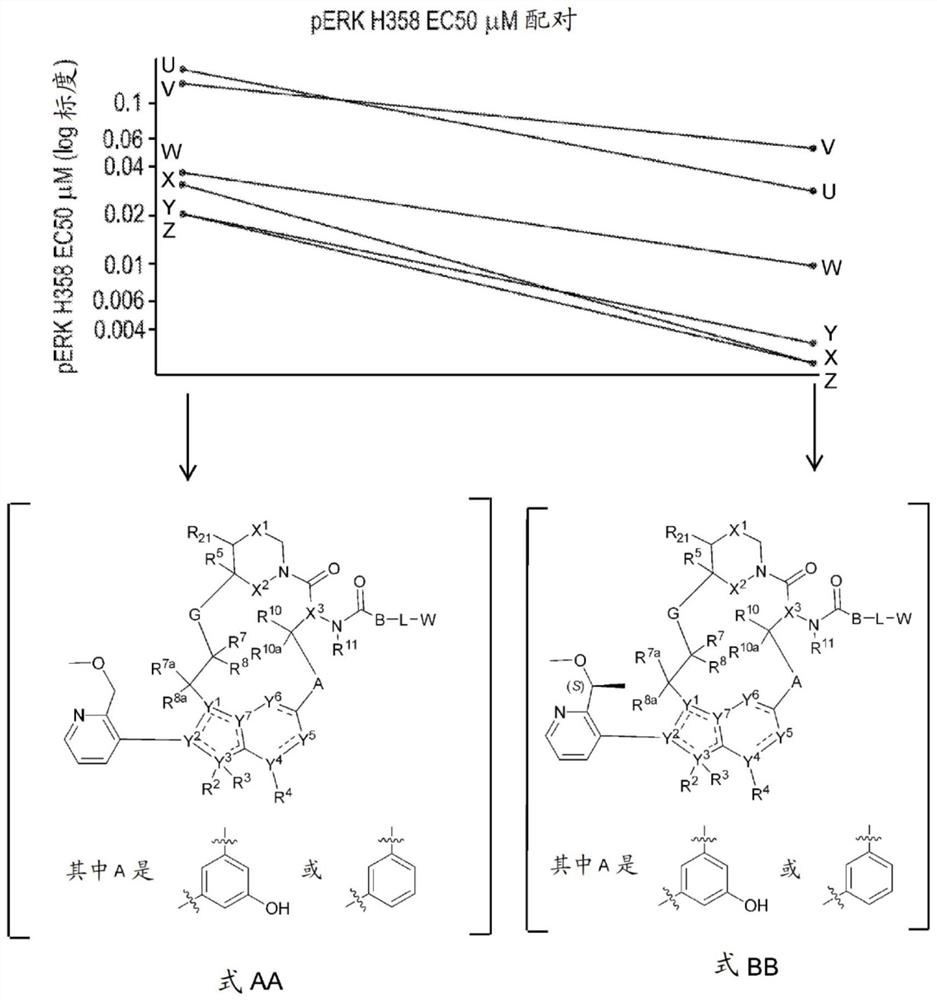 RAS inhibitors