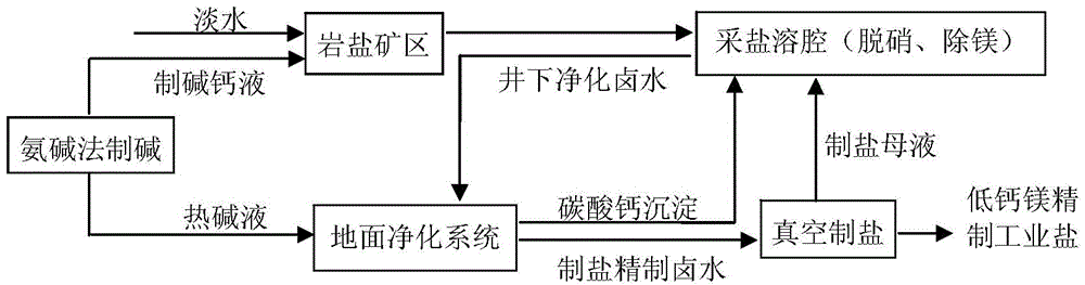 Method for preparing low calcium and magnesium refined salt by downhole denitration process