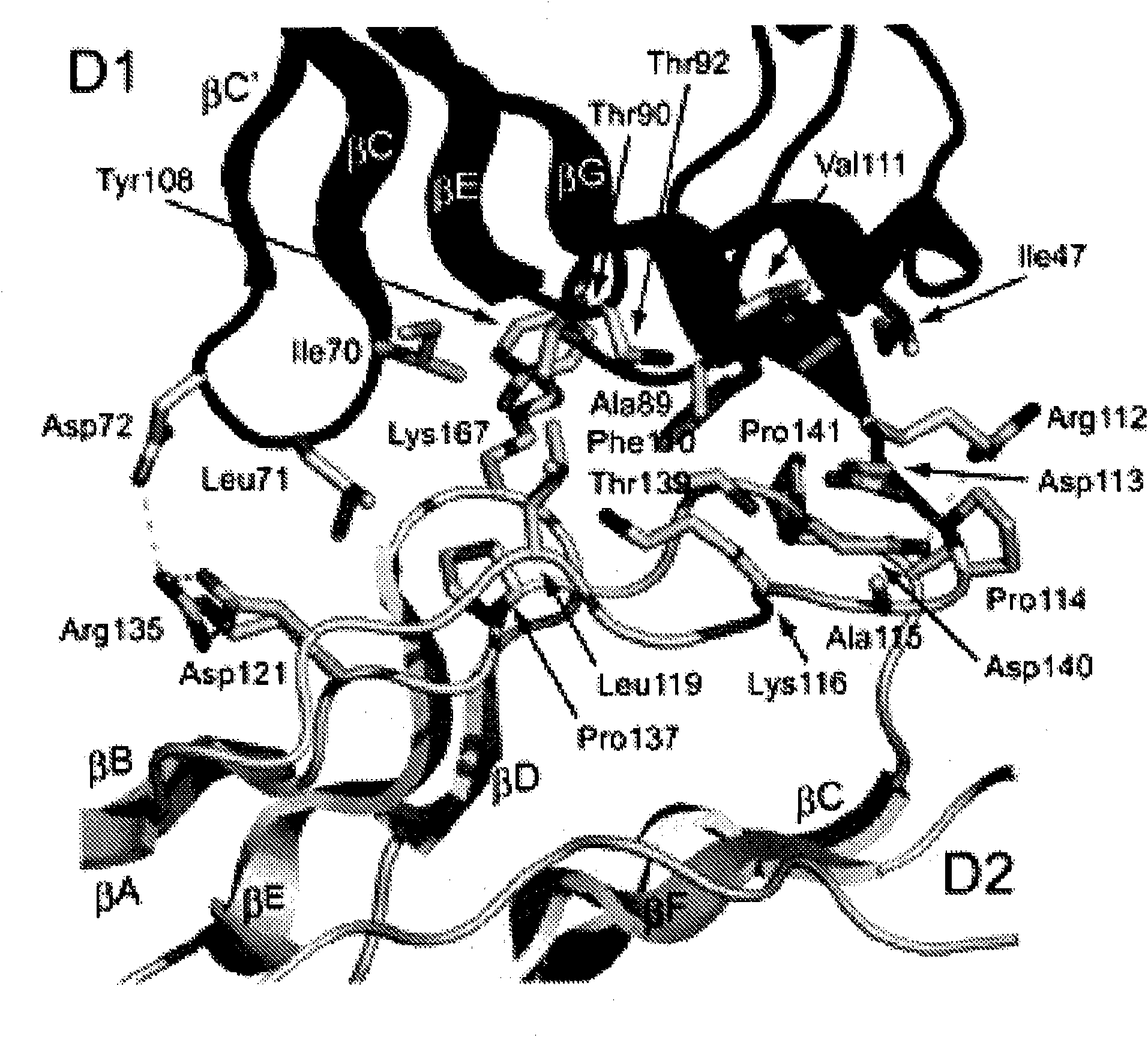 Inhibitors of receptor tyrosine kinases and methods of use thereof