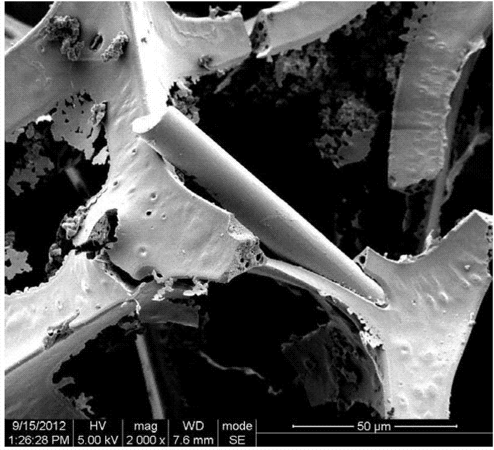 Fiber material modified melamine formaldehyde foam and preparation method thereof