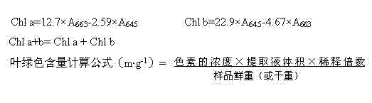 Method for regulating proline and malondialdehyde of Festuca elata Keng subjected to water stress by adopting sodded strips