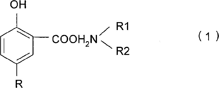 Anti-scaling agent used for hydrogenation plant and its preparation method and application