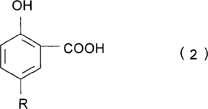 Anti-scaling agent used for hydrogenation plant and its preparation method and application