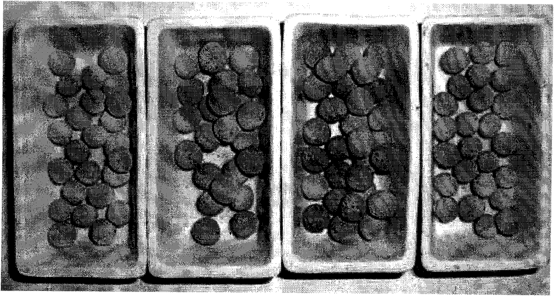 Method for preparing light ceramsite by adopting DSD acid industrial sludge