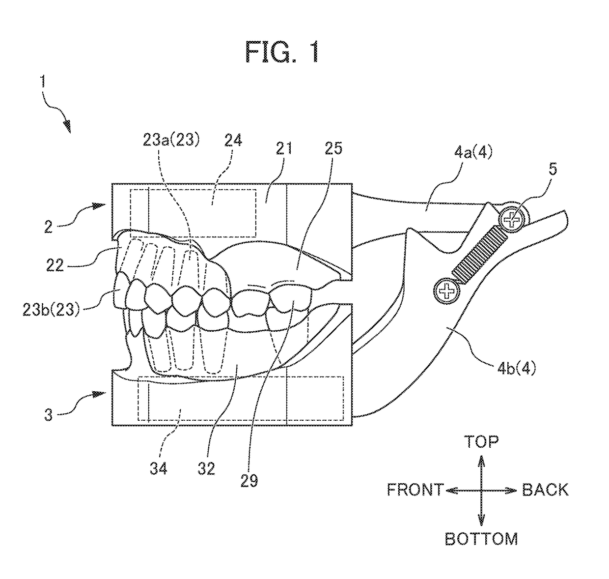 Orthodontic practice appliance