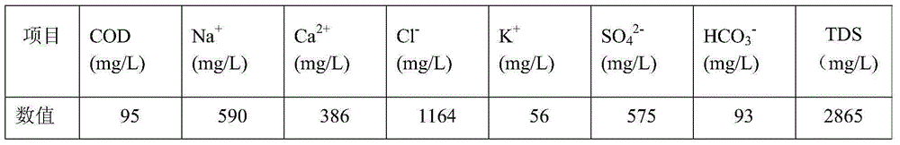 Treatment method and treatment system for salt-containing water