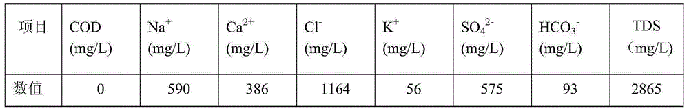 Treatment method and treatment system for salt-containing water