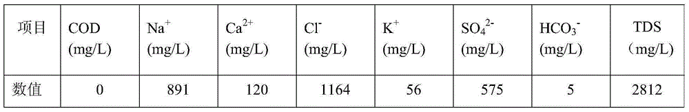 Treatment method and treatment system for salt-containing water