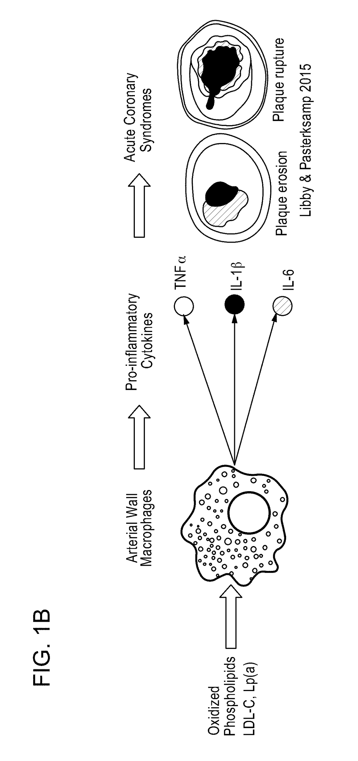 Methods and kits for treating cardiovascular disease