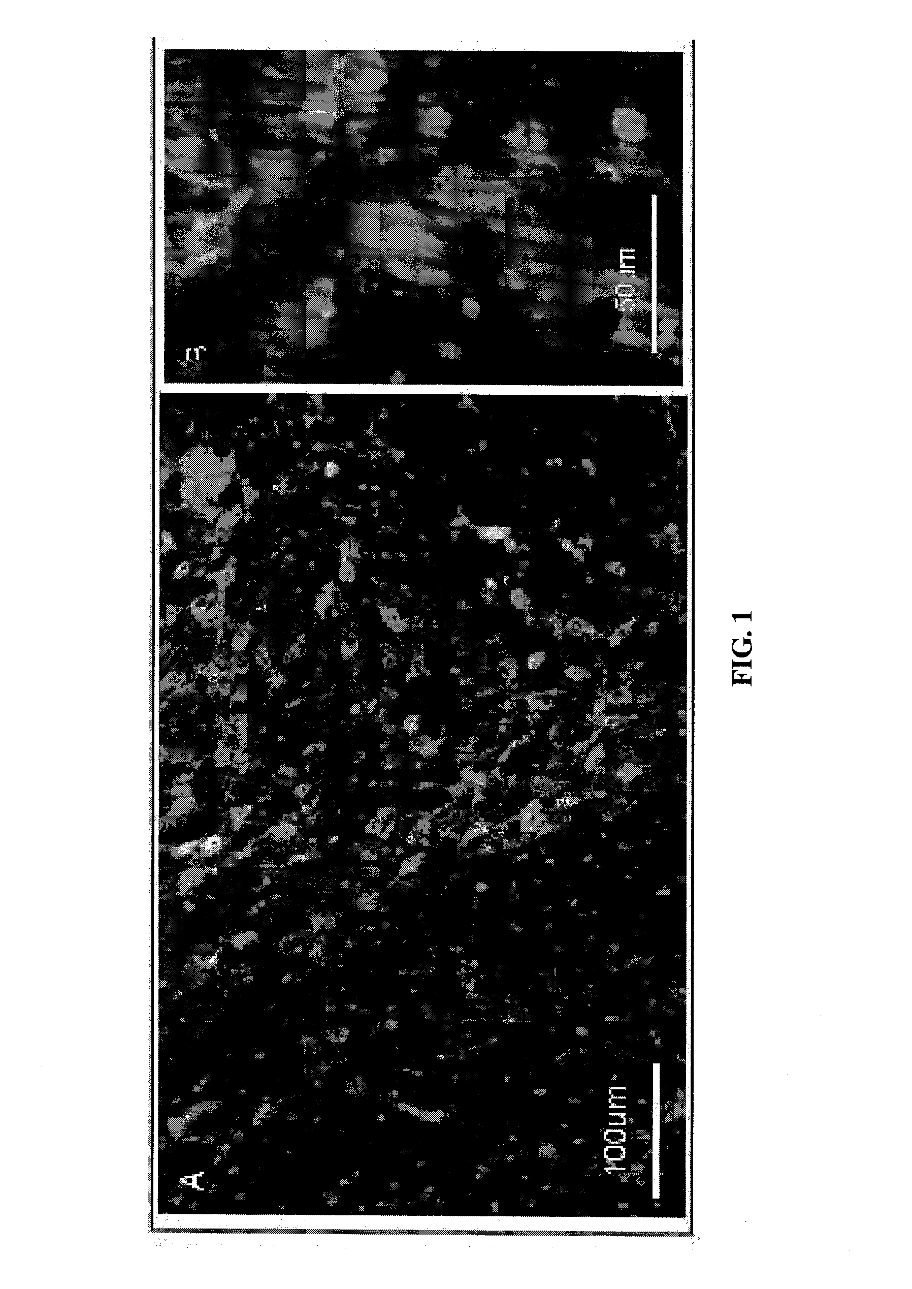 Neuronal modulation