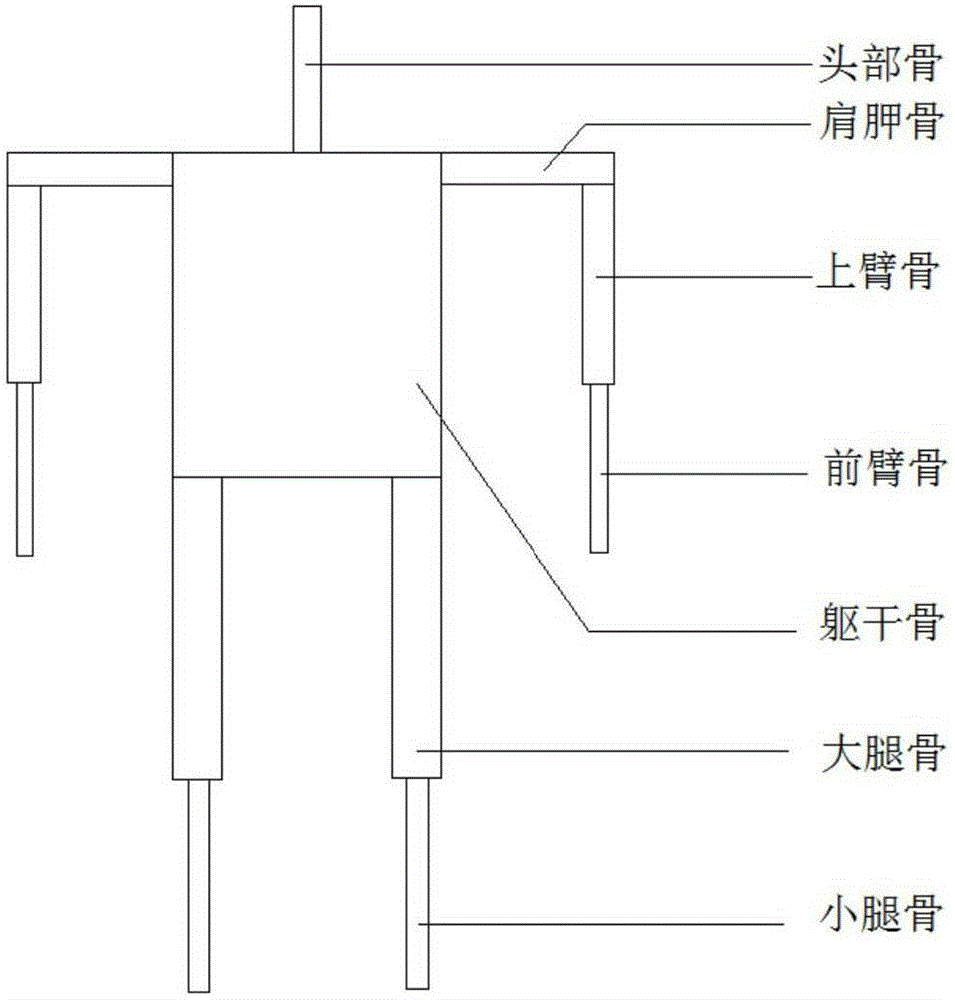 Human body communication channel modeling method and system