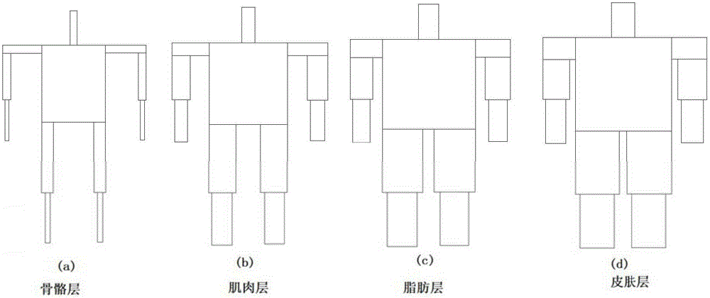 Human body communication channel modeling method and system