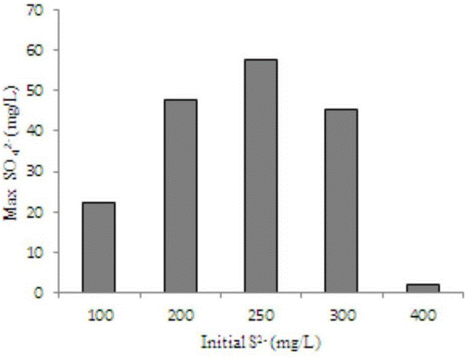 Bacillus cereus and application thereof in oxidizing inorganic sulfide
