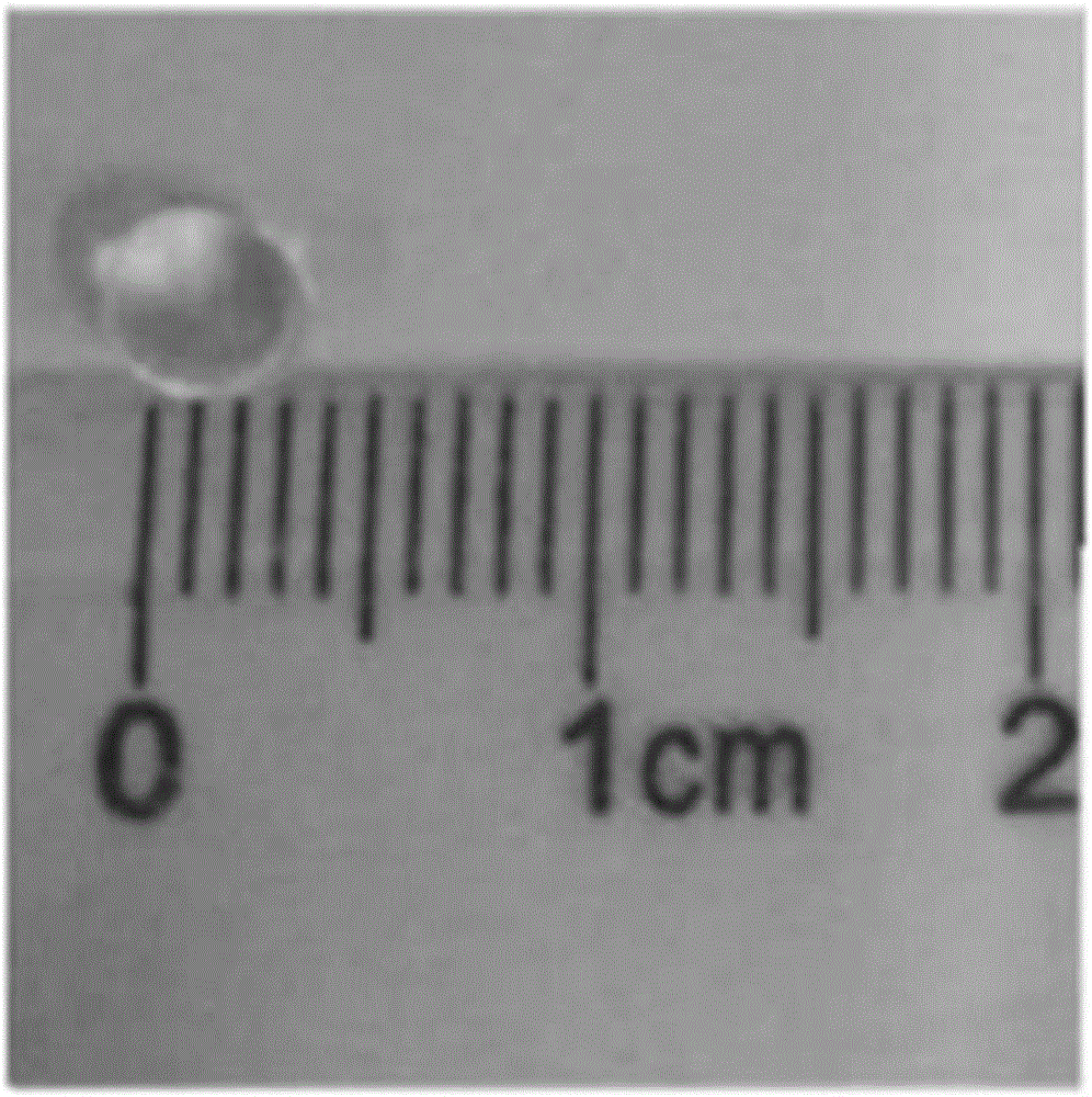 Novel pH-response composite hydrogel containing rare earth complex and preparation method and application of novel pH-response composite hydrogel