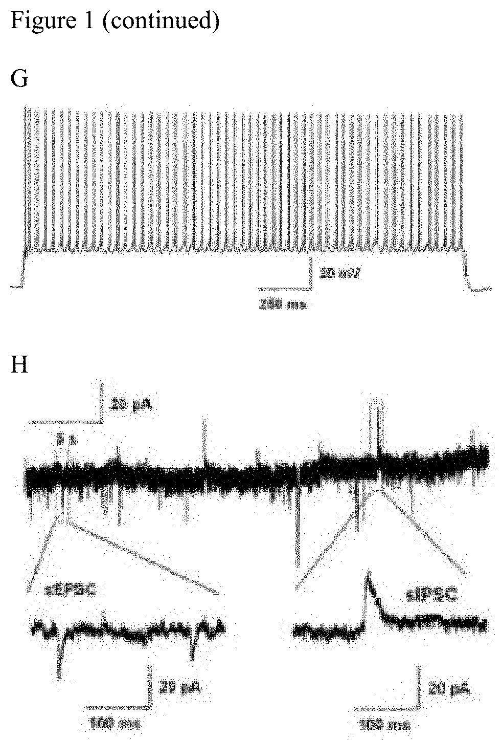 Regenerating functional neurons for treatment of neurological disorders