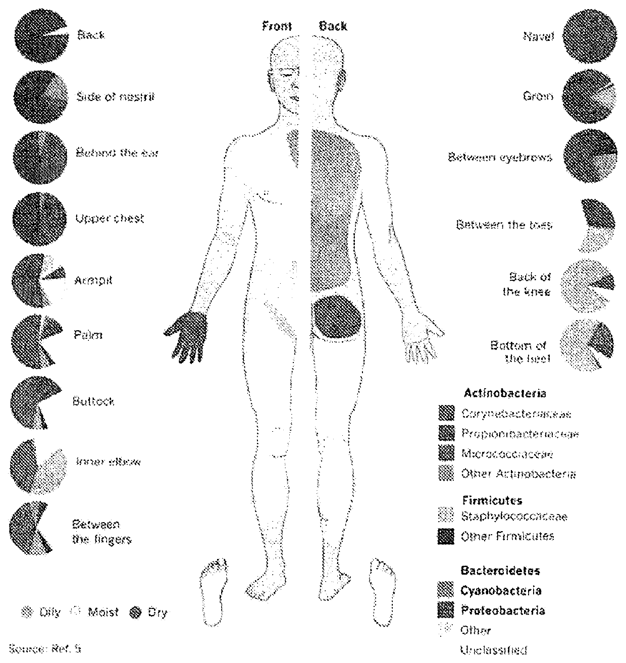 Reducing the likelihood of skin cancer in an individual human being