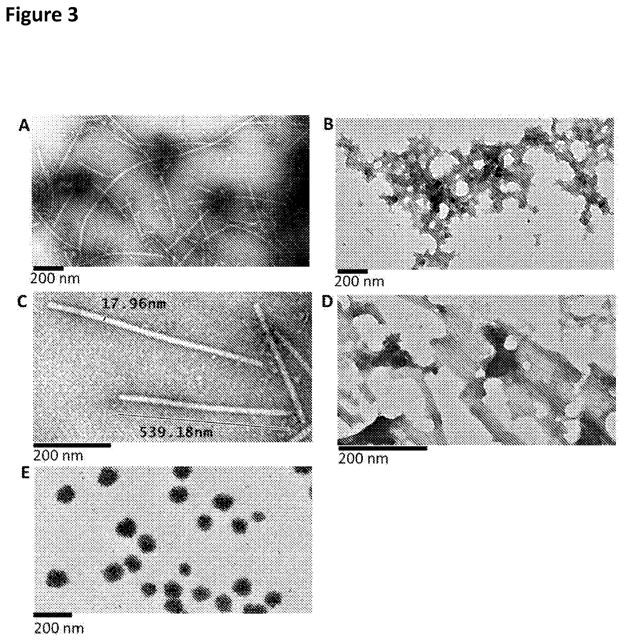 Nanonets and spherical particles