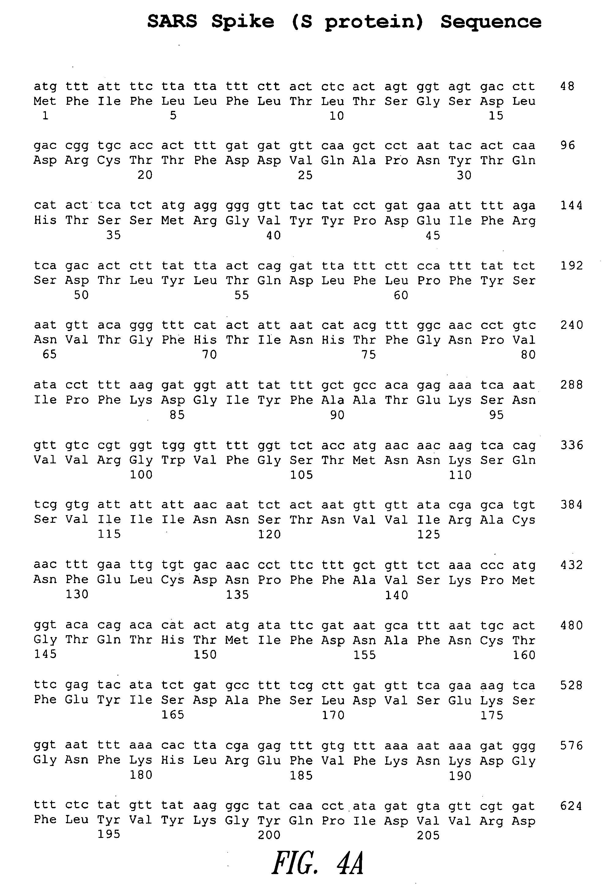 Vaccine compositions and methods of treating coronavirus infection