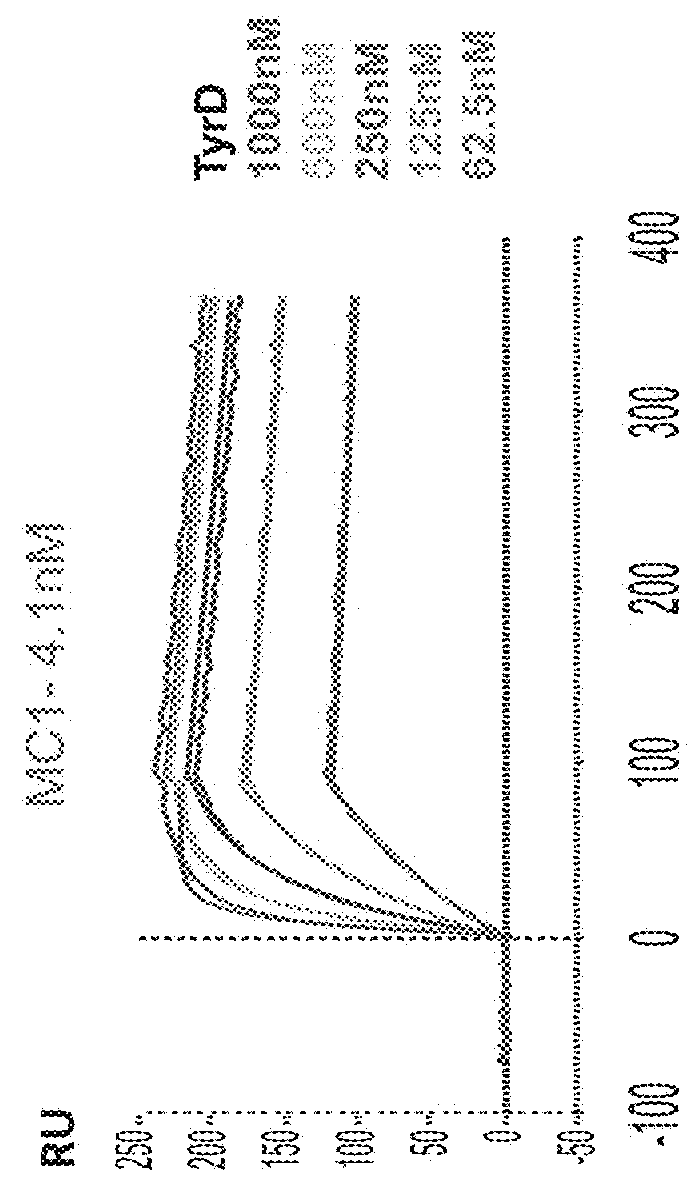 T cell receptor like antibodies having fine specificity