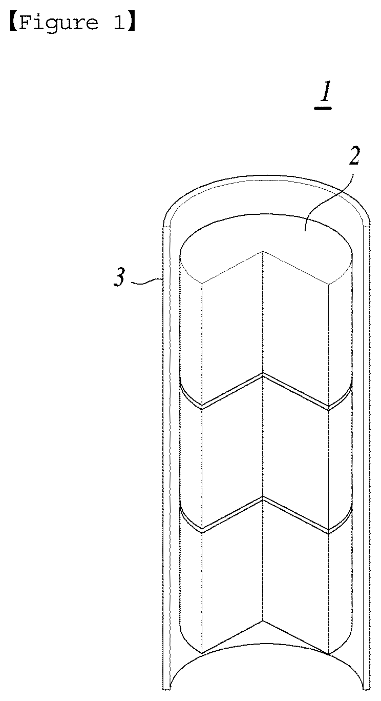 Nuclear fuel rod including disk-type burnable absorber