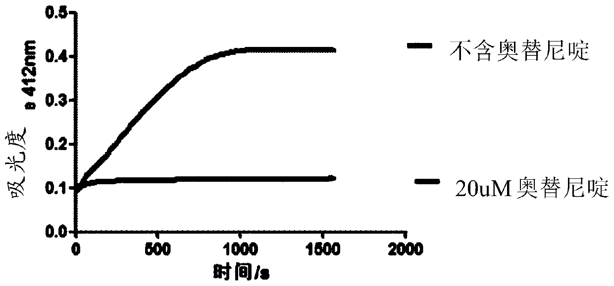 Application of octenidine in inhibiting acetyltransferase and resisting mycobacterium infection