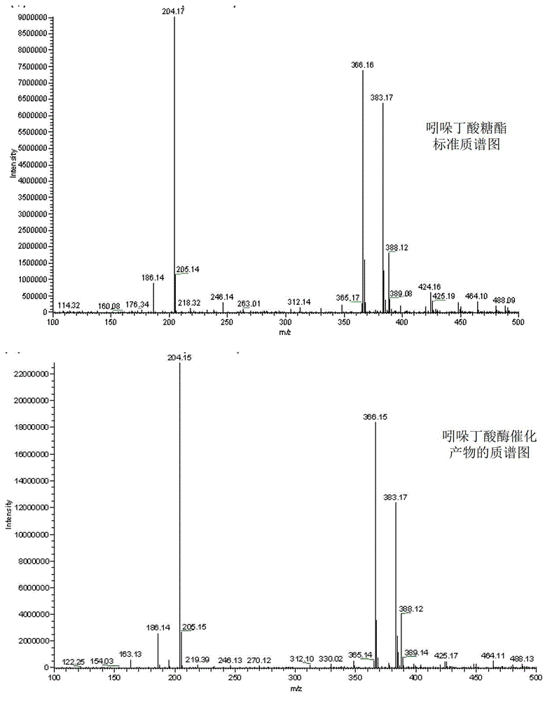 Application of arabidopsis glycosyl transferase UGT74D1 in catalytic synthesis of auxin sugar ester