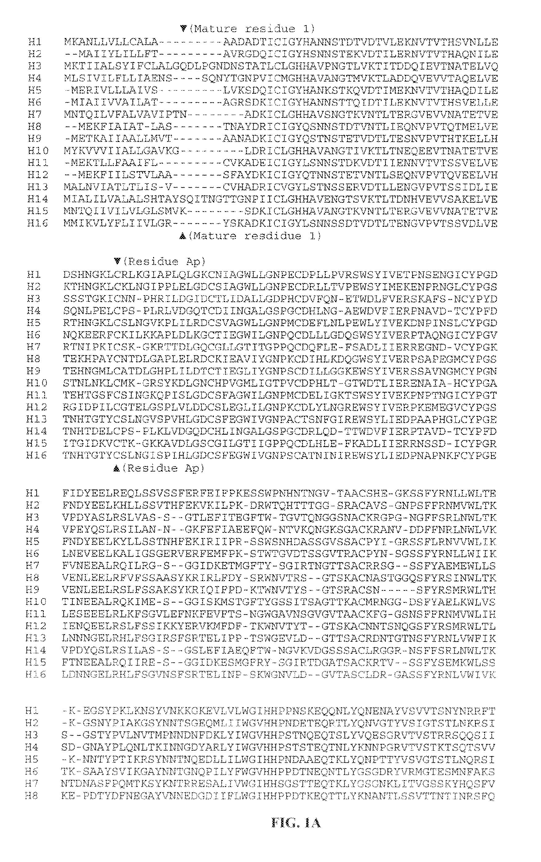 Influenza virus vaccines and uses thereof