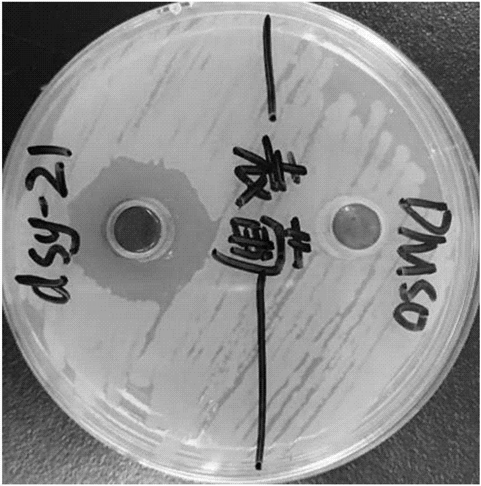 Application of trichlorine substituted II-type halogenated poly-ketone compound