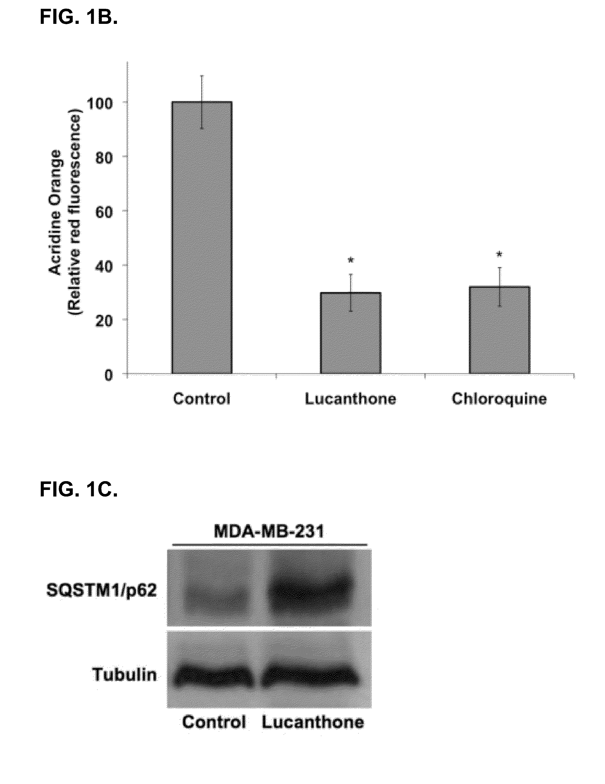 Thioxanthone-based autophagy inhibitor therapies to treat cancer